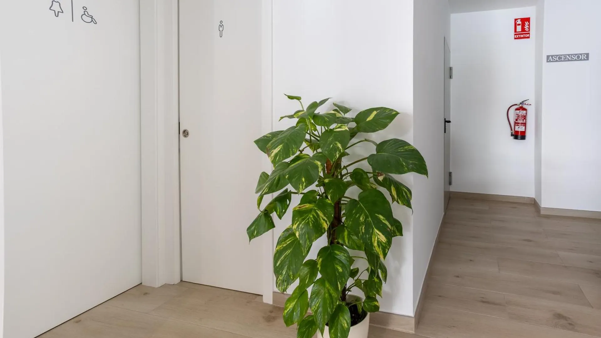 Hotel Oasis Centro Кониль-де-ла-Фронтера